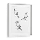 Tres bocetos de un cuervo - Julie de Graag | Cuadro decorativo de Canvas Lab