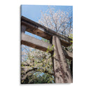 Arco Japonés - Wandering Pixels Co. | Cuadro decorativo de Canvas Lab