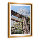 Arco Japonés - Wandering Pixels Co. | Cuadro decorativo de Canvas Lab