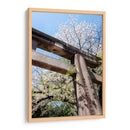 Arco Japonés - Wandering Pixels Co. | Cuadro decorativo de Canvas Lab