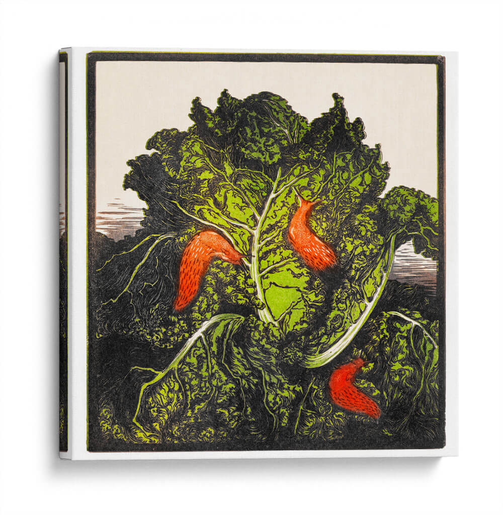 Tres babosas en un repollo - I - Julie de Graag | Cuadro decorativo de Canvas Lab