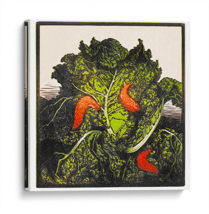 Tres babosas en un repollo - I - Julie de Graag | Cuadro decorativo de Canvas Lab