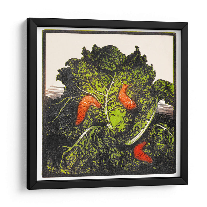 Tres babosas en un repollo - I - Julie de Graag | Cuadro decorativo de Canvas Lab