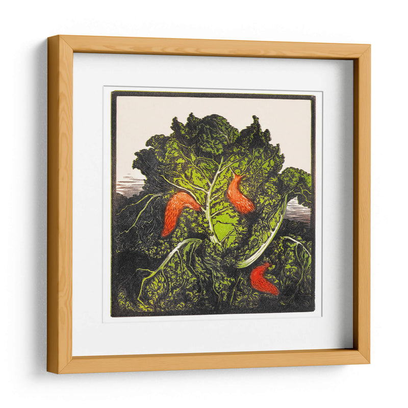 Tres babosas en un repollo - I - Julie de Graag | Cuadro decorativo de Canvas Lab