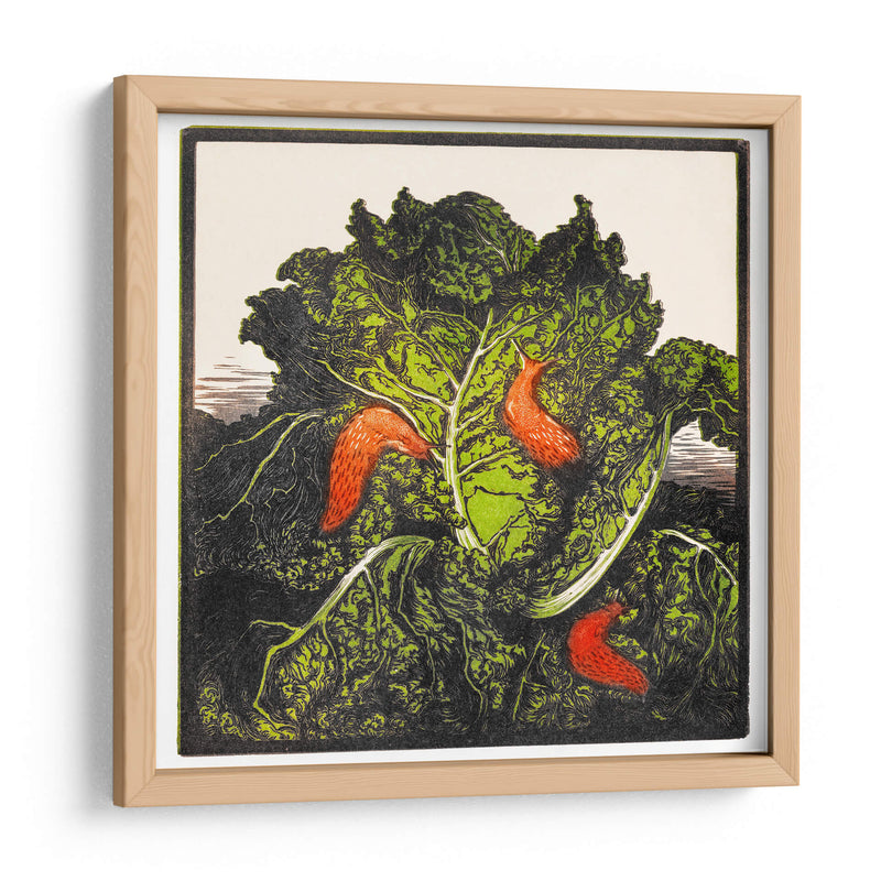 Tres babosas en un repollo - I - Julie de Graag | Cuadro decorativo de Canvas Lab