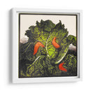 Tres babosas en un repollo - I - Julie de Graag | Cuadro decorativo de Canvas Lab