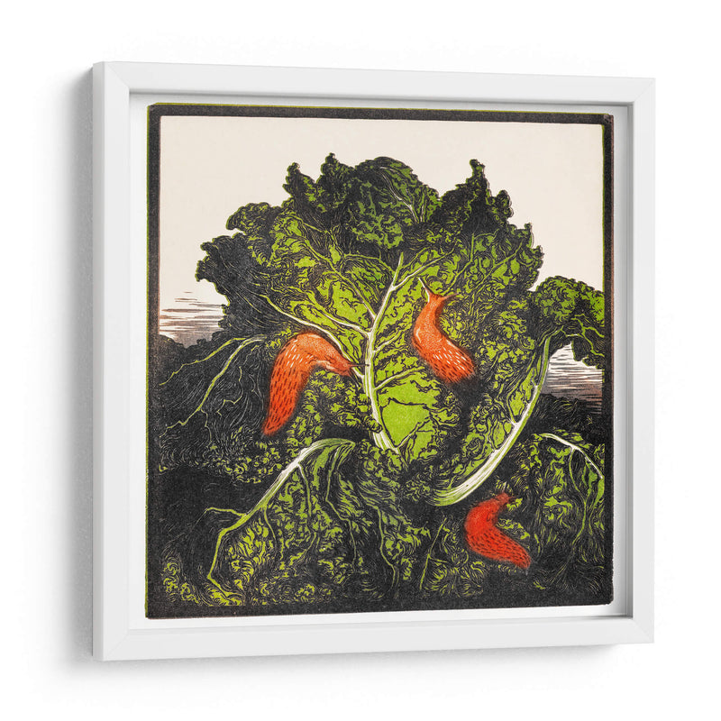 Tres babosas en un repollo - I - Julie de Graag | Cuadro decorativo de Canvas Lab