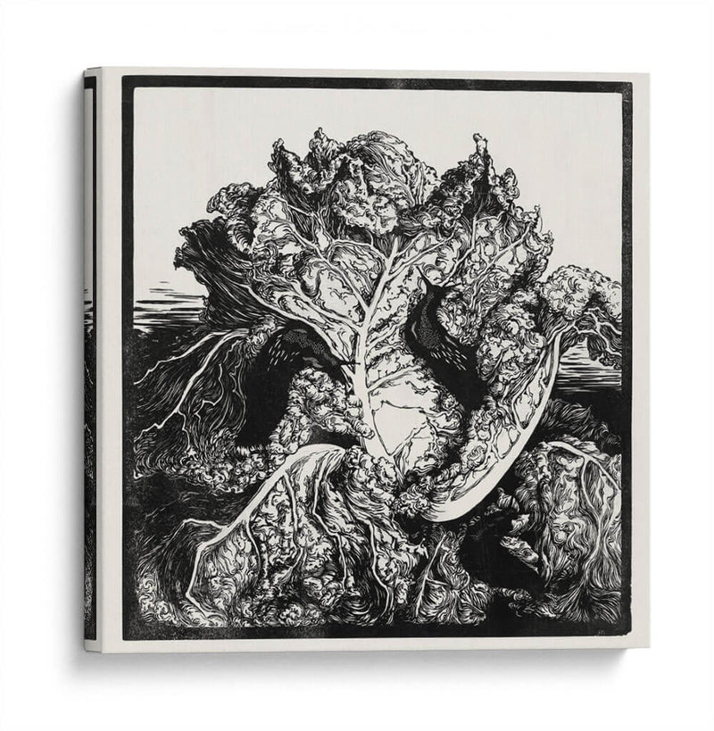 Tres babosas en un repollo - II - Julie de Graag | Cuadro decorativo de Canvas Lab