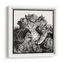 Tres babosas en un repollo - II - Julie de Graag | Cuadro decorativo de Canvas Lab