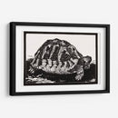 Tortuga - Julie de Graag | Cuadro decorativo de Canvas Lab