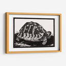 Tortuga - Julie de Graag | Cuadro decorativo de Canvas Lab