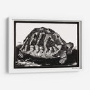 Tortuga - Julie de Graag | Cuadro decorativo de Canvas Lab