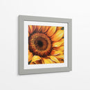 Girasol - Dav Madrid | Cuadro decorativo de Canvas Lab