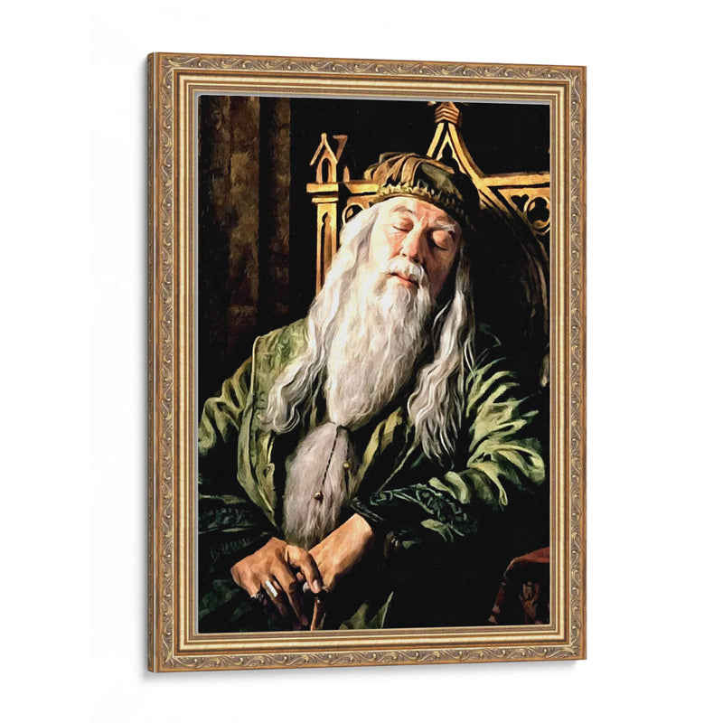Dumbledore - Dav Madrid | Cuadro decorativo de Canvas Lab