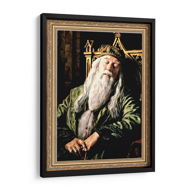 Dumbledore - Dav Madrid | Cuadro decorativo de Canvas Lab