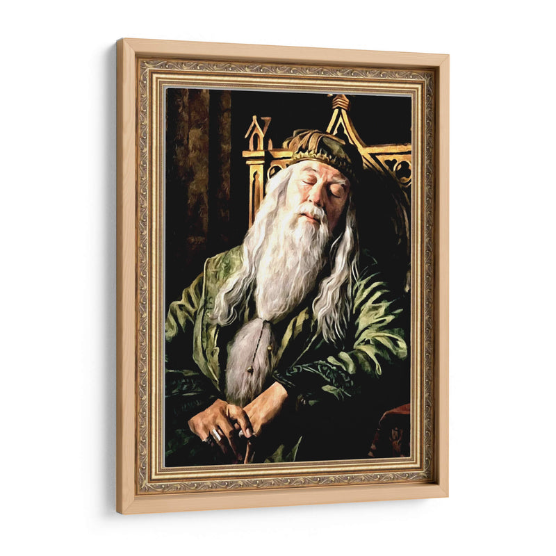Dumbledore - Dav Madrid | Cuadro decorativo de Canvas Lab
