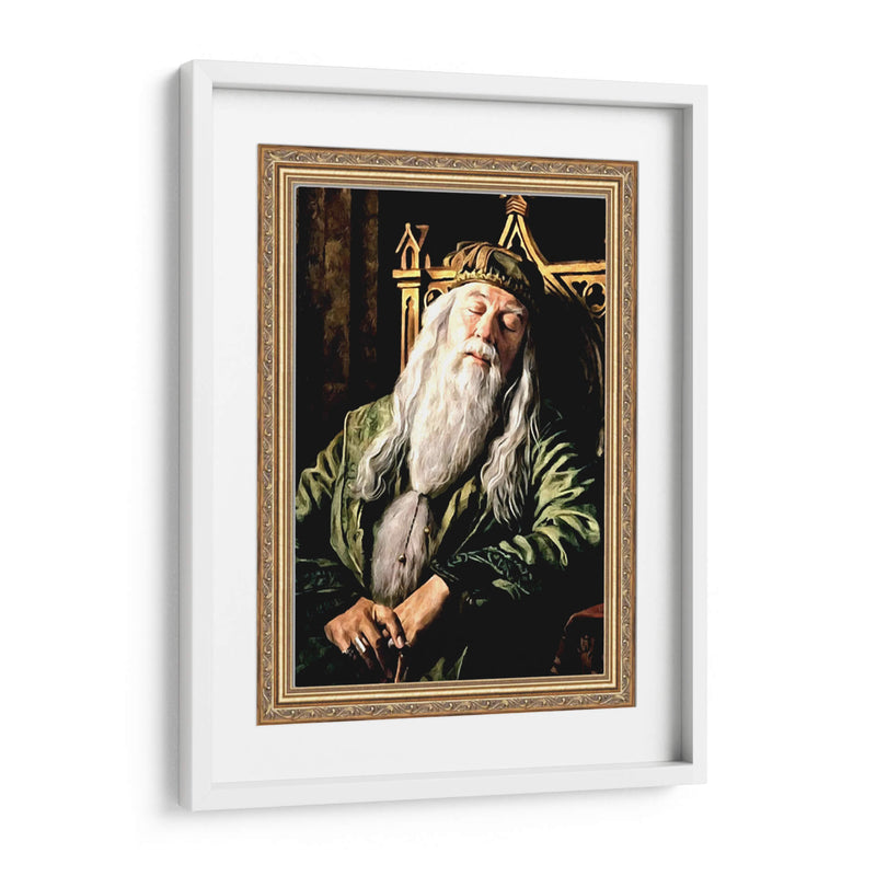 Dumbledore - Dav Madrid | Cuadro decorativo de Canvas Lab