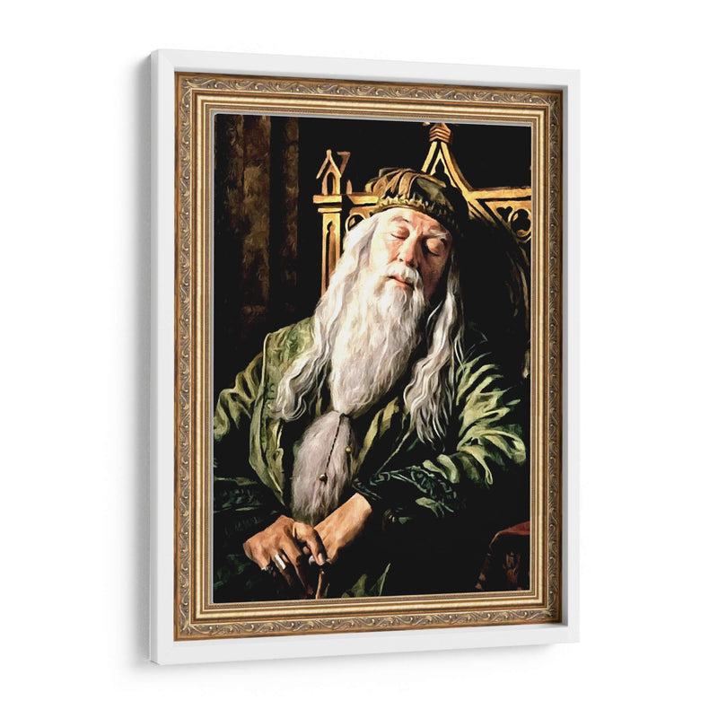 Dumbledore - Dav Madrid | Cuadro decorativo de Canvas Lab