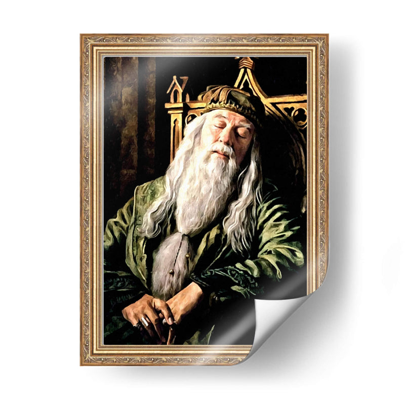 Dumbledore - Dav Madrid | Cuadro decorativo de Canvas Lab