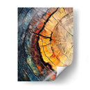 Anillos de Árbol - Dav Madrid | Cuadro decorativo de Canvas Lab