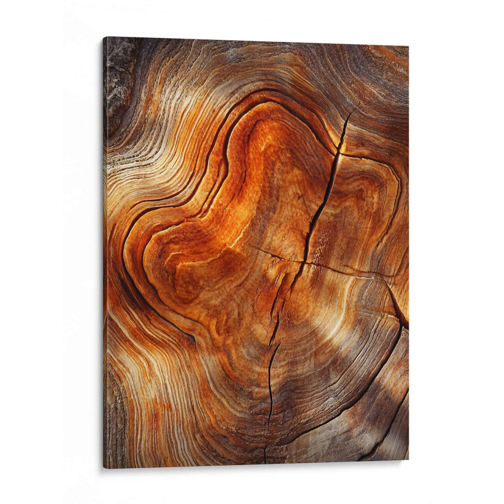 Árbol Cortado - Dav Madrid | Cuadro decorativo de Canvas Lab