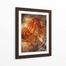 Árbol Cortado - Dav Madrid | Cuadro decorativo de Canvas Lab