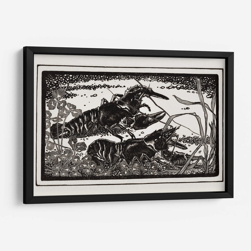 Dos cangrejos de río - Julie de Graag | Cuadro decorativo de Canvas Lab