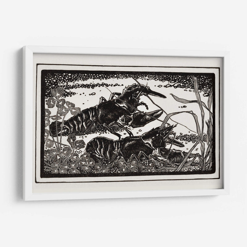 Dos cangrejos de río - Julie de Graag | Cuadro decorativo de Canvas Lab