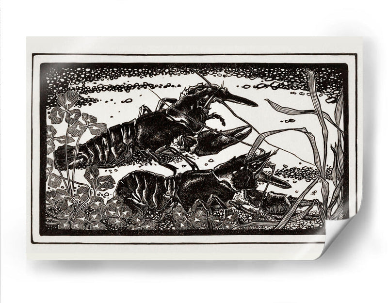 Dos cangrejos de río - Julie de Graag | Cuadro decorativo de Canvas Lab