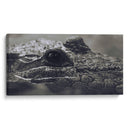 Cocodrilo  - Leonor Quiroga | Cuadro decorativo de Canvas Lab