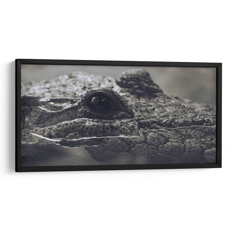 Cocodrilo  - Leonor Quiroga | Cuadro decorativo de Canvas Lab