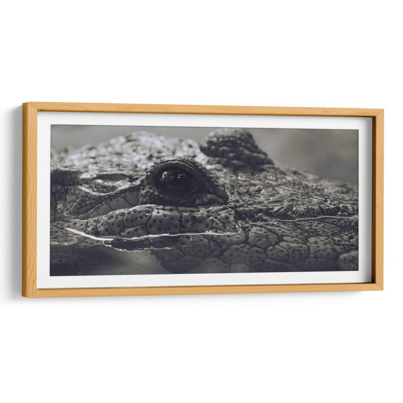 Cocodrilo  - Leonor Quiroga | Cuadro decorativo de Canvas Lab