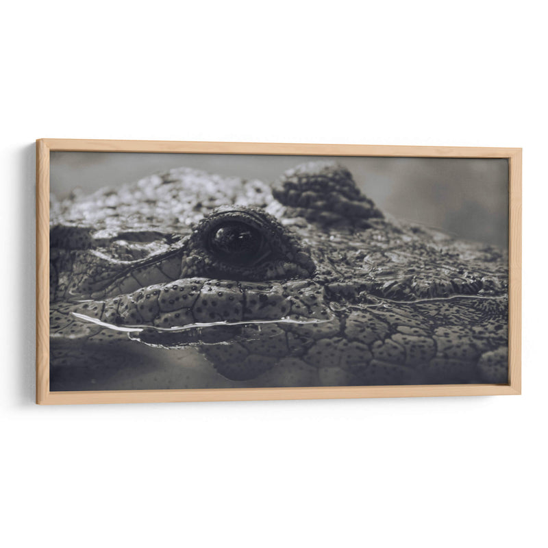 Cocodrilo  - Leonor Quiroga | Cuadro decorativo de Canvas Lab