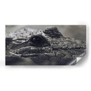 Cocodrilo  - Leonor Quiroga | Cuadro decorativo de Canvas Lab