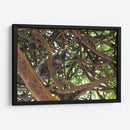 Ardilla sobre árbol  - Leonor Quiroga | Cuadro decorativo de Canvas Lab