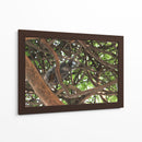 Ardilla sobre árbol  - Leonor Quiroga | Cuadro decorativo de Canvas Lab