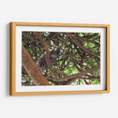 Ardilla sobre árbol  - Leonor Quiroga | Cuadro decorativo de Canvas Lab