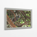 Ardilla sobre árbol  - Leonor Quiroga | Cuadro decorativo de Canvas Lab