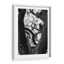 Detalle de ramas de arbol - Leonor Quiroga | Cuadro decorativo de Canvas Lab