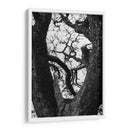 Detalle de ramas de arbol - Leonor Quiroga | Cuadro decorativo de Canvas Lab