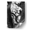 Detalle de ramas de arbol - Leonor Quiroga | Cuadro decorativo de Canvas Lab