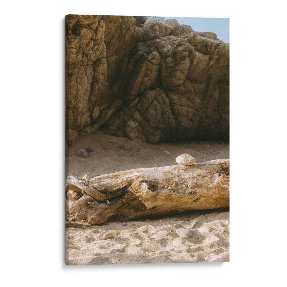 Roca sobre tronco en playa - Leonor Quiroga | Cuadro decorativo de Canvas Lab