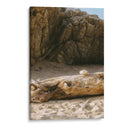 Roca sobre tronco en playa - Leonor Quiroga | Cuadro decorativo de Canvas Lab