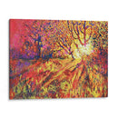 El Bosque Iluminado - VIVIANO | Cuadro decorativo de Canvas Lab