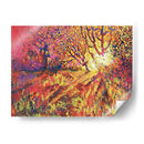 El Bosque Iluminado - VIVIANO | Cuadro decorativo de Canvas Lab