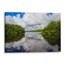 Lago en Humacao, Puerto Rico - Gilbert2133  | Cuadro decorativo de Canvas Lab
