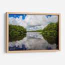 Lago en Humacao, Puerto Rico - Gilbert2133  | Cuadro decorativo de Canvas Lab