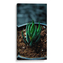 Planta Cebra - Gilbert2133  | Cuadro decorativo de Canvas Lab