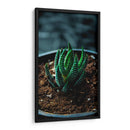 Planta Cebra - Gilbert2133  | Cuadro decorativo de Canvas Lab