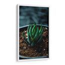 Planta Cebra - Gilbert2133  | Cuadro decorativo de Canvas Lab